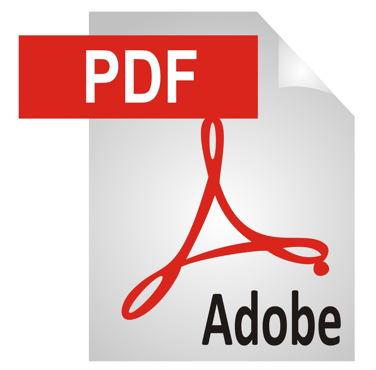 pdf-icon.jpg